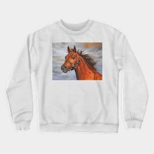 Chasing the Sun Crewneck Sweatshirt